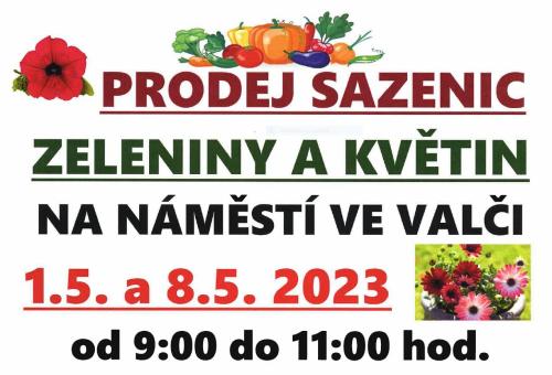 Prodej sazeni zeleniny a květin na náměstí ve Valči 1