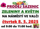 Prodej sazenic zeleniny a květin na náměstí ve Valči 1