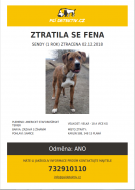 Ztratila se fena